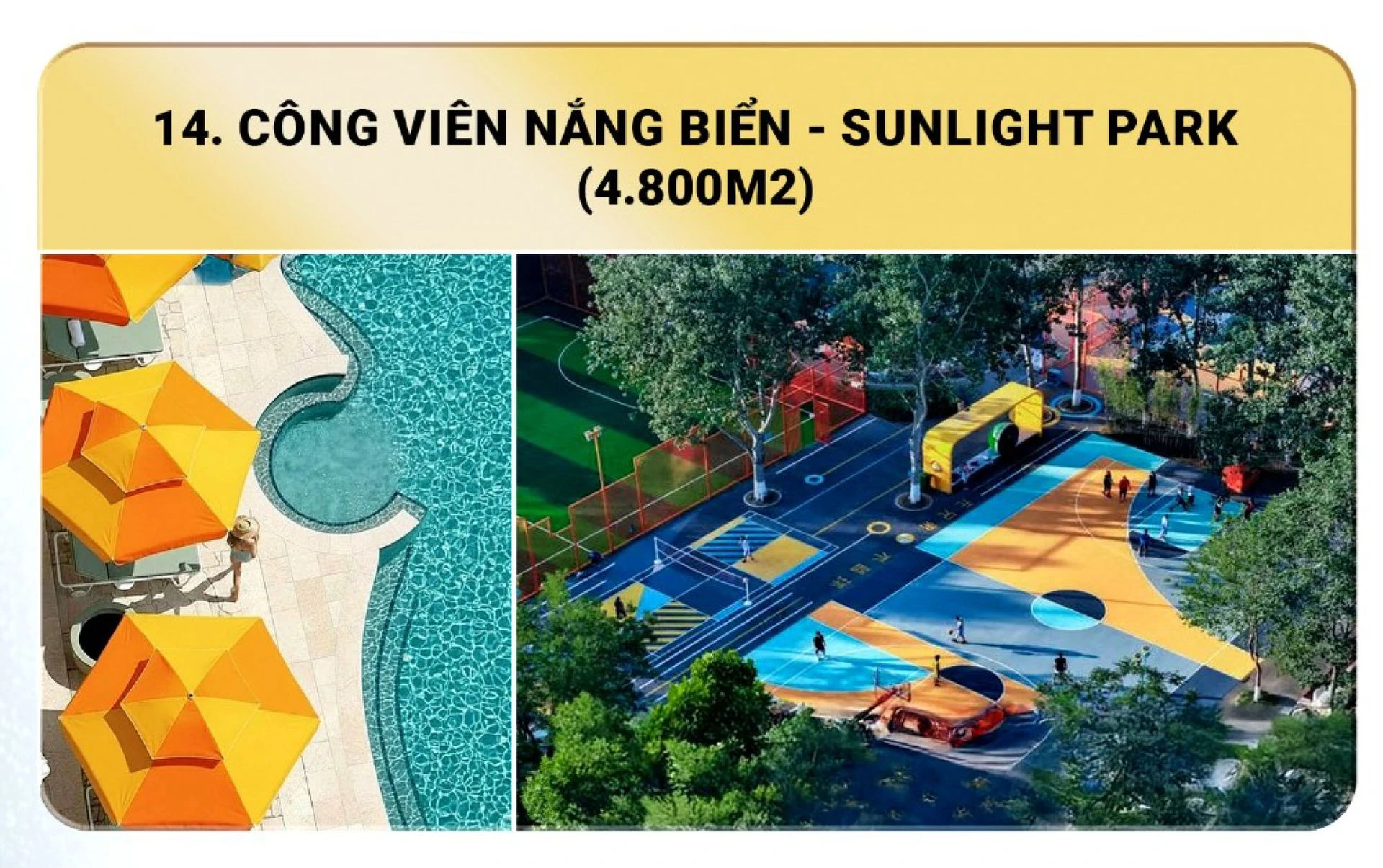 Hình ảnh 14