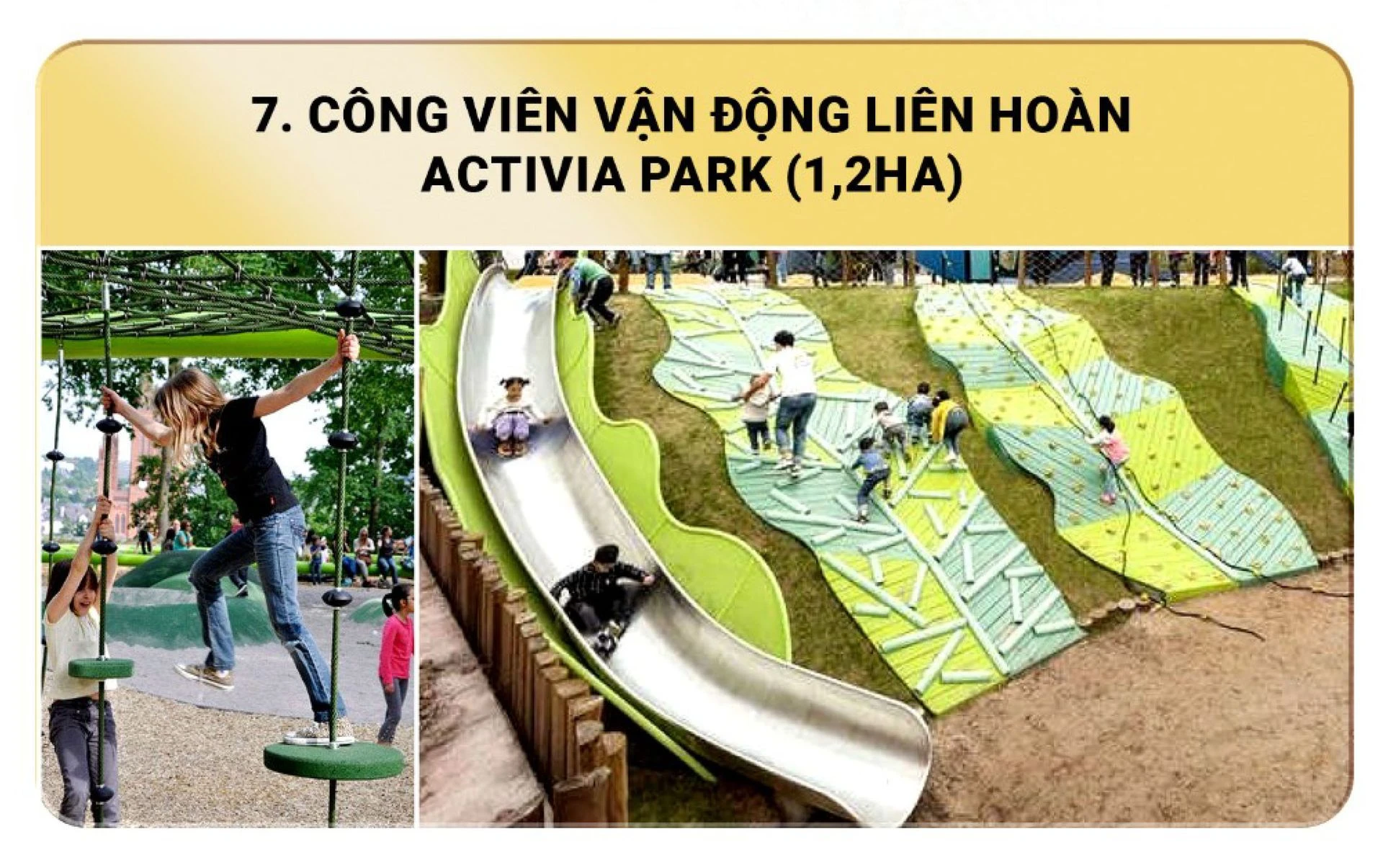 Hình ảnh 7
