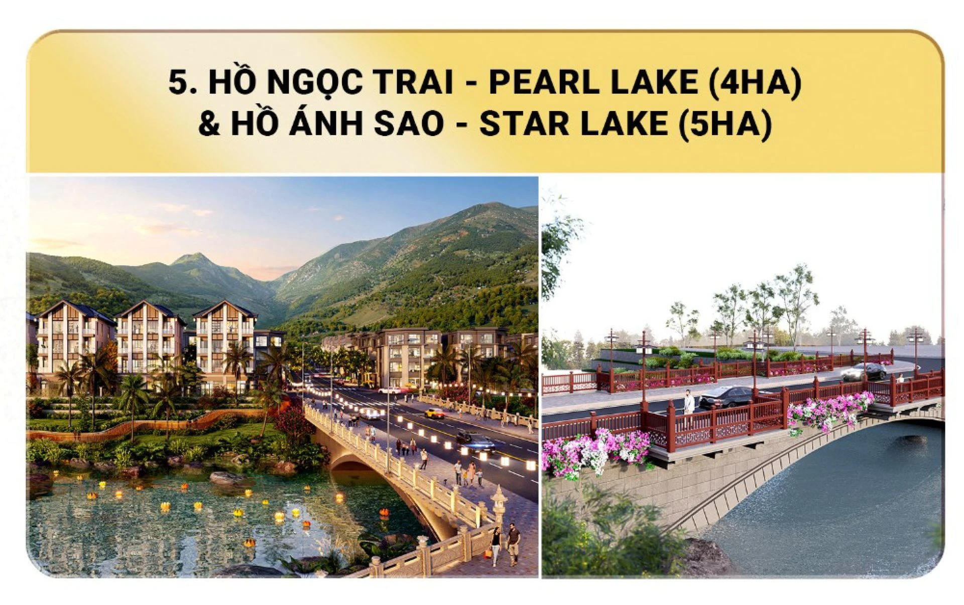 Hình ảnh 5