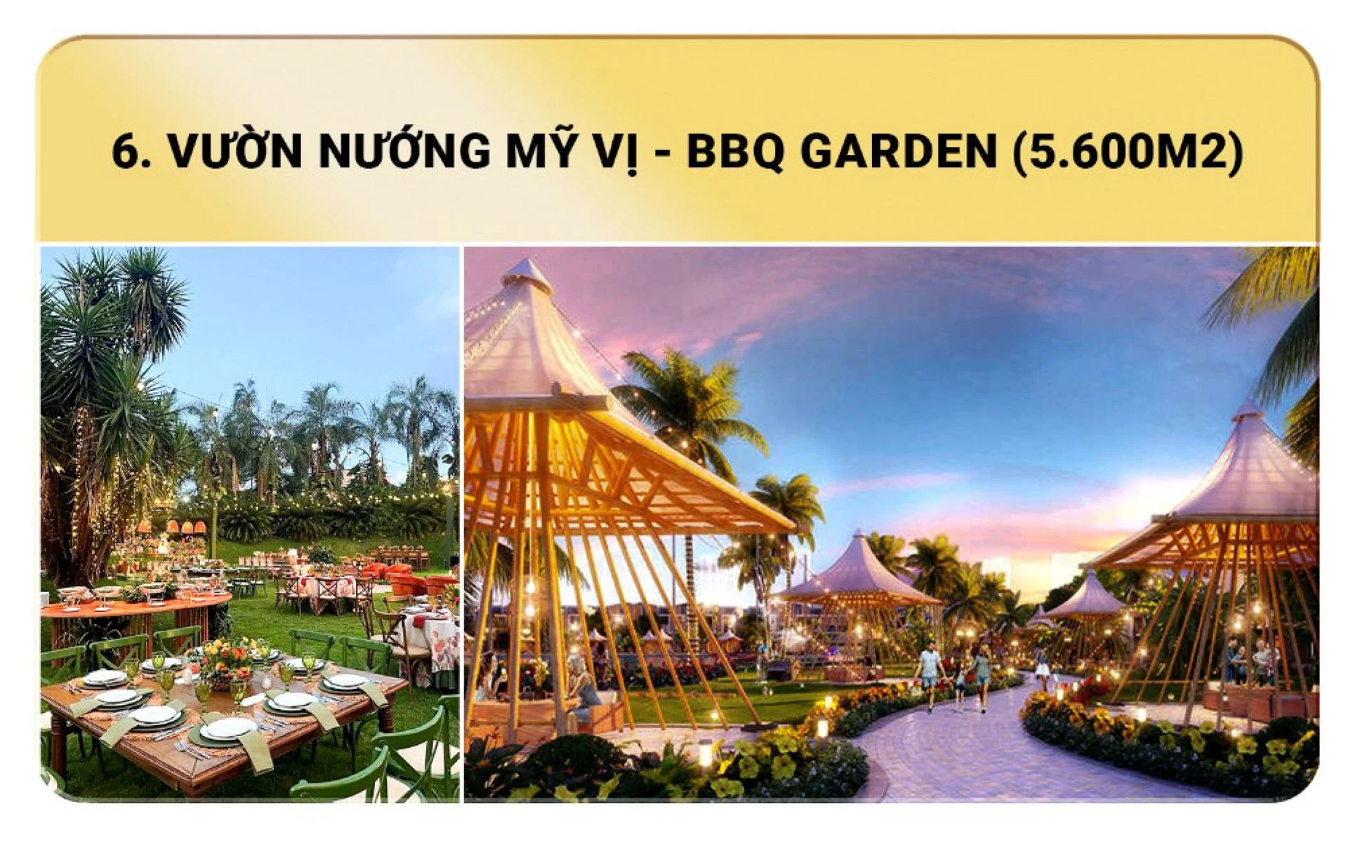 Hình ảnh 6
